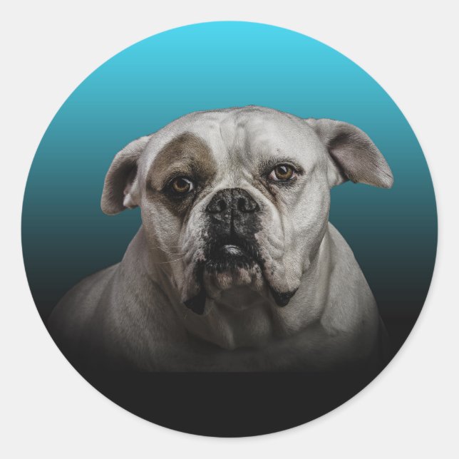 Sticker Rond Cute Boxer Dog w Blue Black Gradient arrière - pla (Devant)