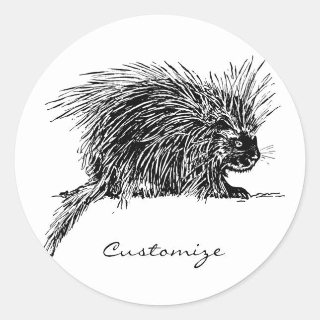 Sticker Rond Cute Bristly Hedgehog Thunder_Cove (Devant)