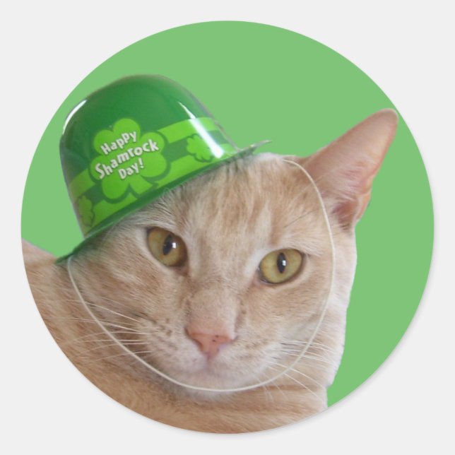 Sticker Rond Cute chat orange portant un Casquette irlandais ve (Devant)