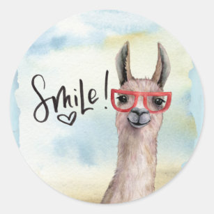Sticker Rond Cute drôle Smile Llama