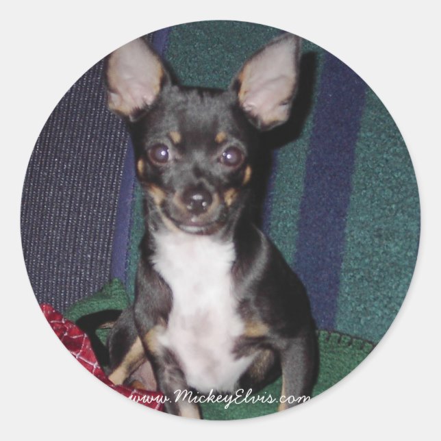 Sticker Rond Cute et adorable MickeyElvis (Devant)