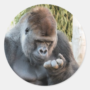 STICKER ROND CUTE GORILLA