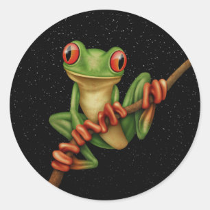 Sticker Rond Cute Grenouille verte sur une branche avec étoiles
