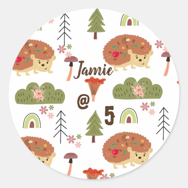 Sticker Rond Cute Hedgehog Nature Floral Rainbow Motif (Devant)