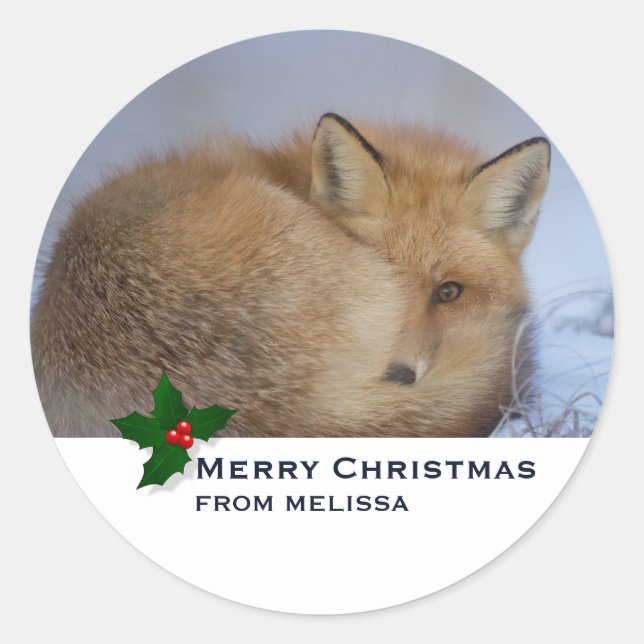 Sticker Rond Cute Little Fox Curling Up Winter Photo Noël (Devant)