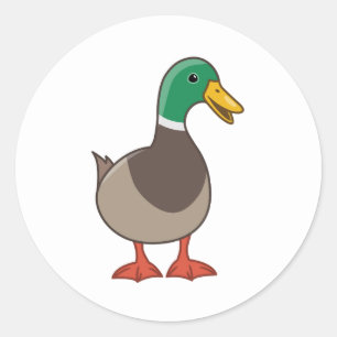 Sticker Rond Cute Mallard Duck