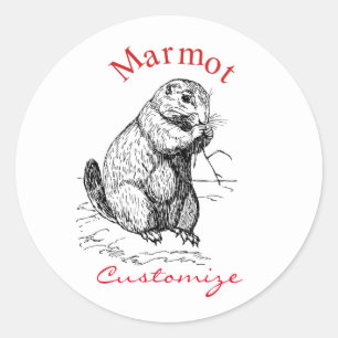 Sticker Rond Cute Marmot Animal Thunder_Cove