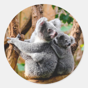 Sticker Rond Cute Ours Koala