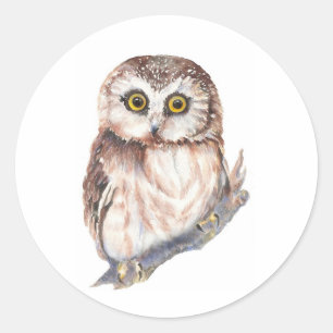 Sticker Rond Cute Owl - Aquarelle Collection d'oiseaux