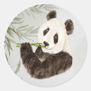 Sticker Rond Cute Panda Ours asiatique Animal Bambou Faune