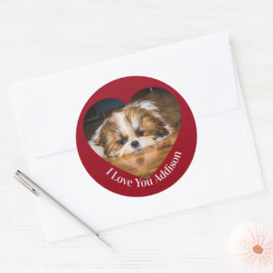 Sticker Rond Cute shih tzu love Saint Valentin