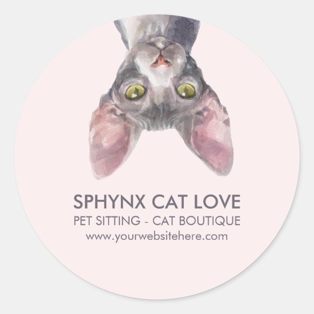 Sticker Rond Cute Small Pink Canadian Sphynx Cat Car (Devant)