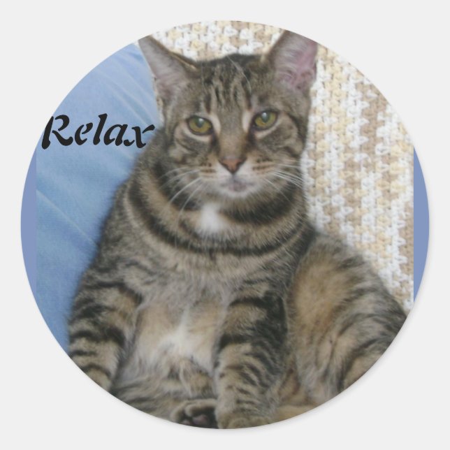 Sticker Rond Cute tabby Chat (Devant)
