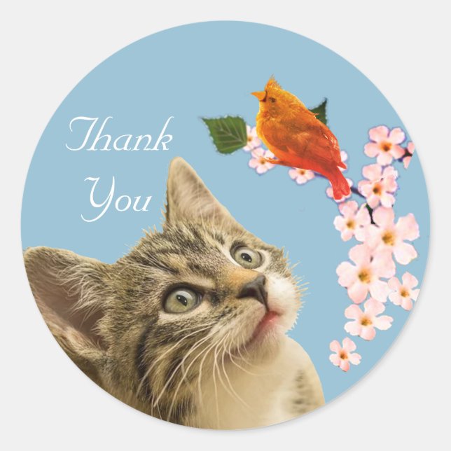 Sticker Rond Cute Tabby Chat, Fleurs et Petit Merci d'oiseaux (Devant)