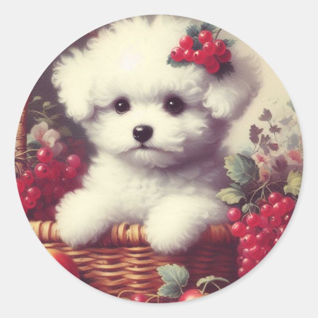 Sticker Rond Cute Vintage Bichon Frisé Peinture (Devant)