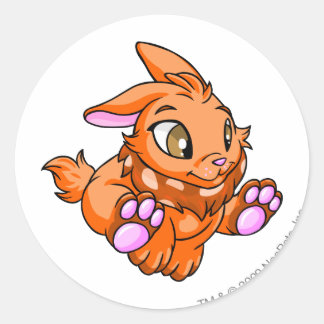 Sticker Rond Cybunny Orange