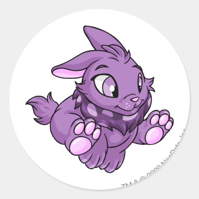 Sticker Rond Cybunny pourpre (Devant)