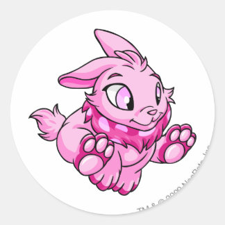 Sticker Rond Cybunny rose