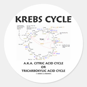 Sticker Rond Cycle d'acide citrique de cycle de Krebs A.K.A.