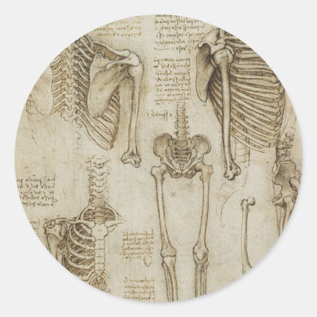 Sticker Rond Da Vinci : Skeleton humain Anatomy Sketches (Devant)