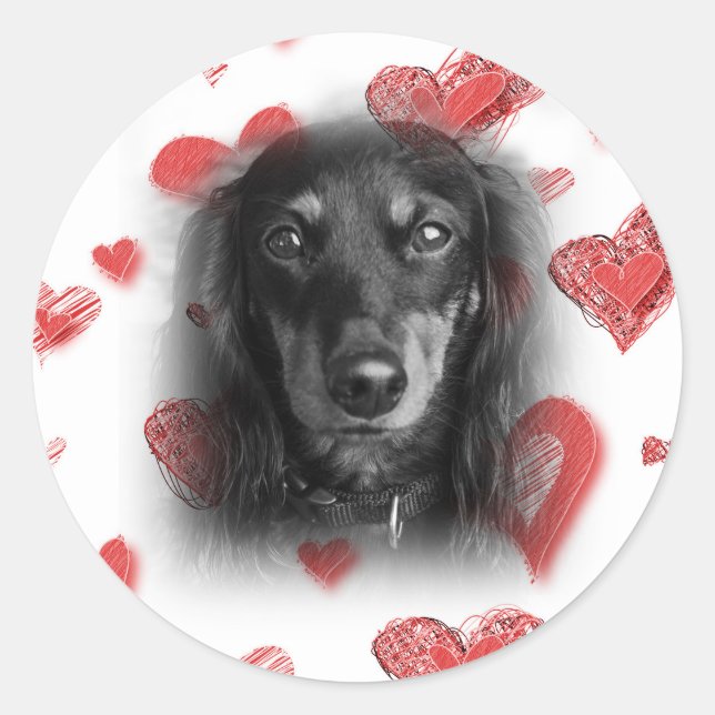Sticker Rond Dachshund aux Coeurs rouges (Devant)