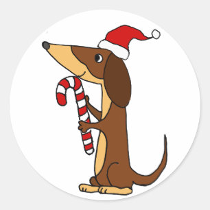 Sticker Rond Dachshund Chien mignon en chapeau de Noël