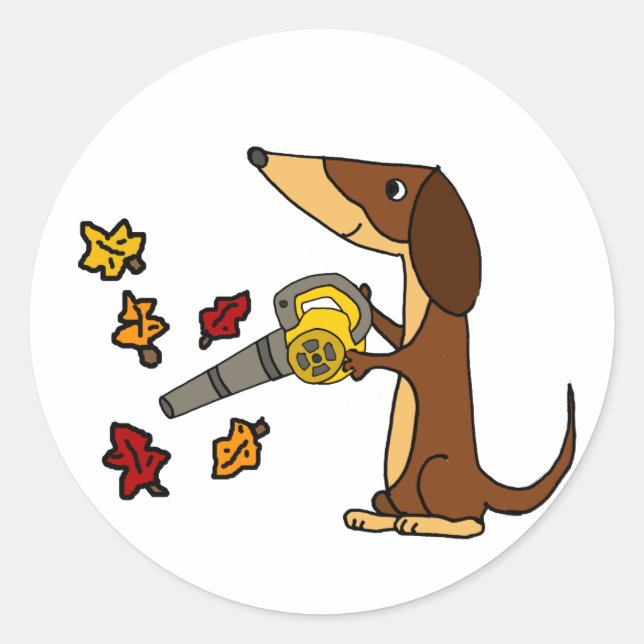 Sticker Rond Dachshund Dog drôle avec souffleur feuille (Devant)