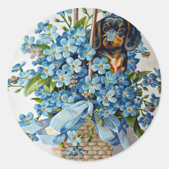 Sticker Rond Dachshund et Forget-Me-Nots (Devant)
