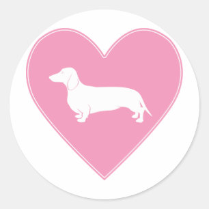 Sticker Rond Dachshund Heart Classic Rose