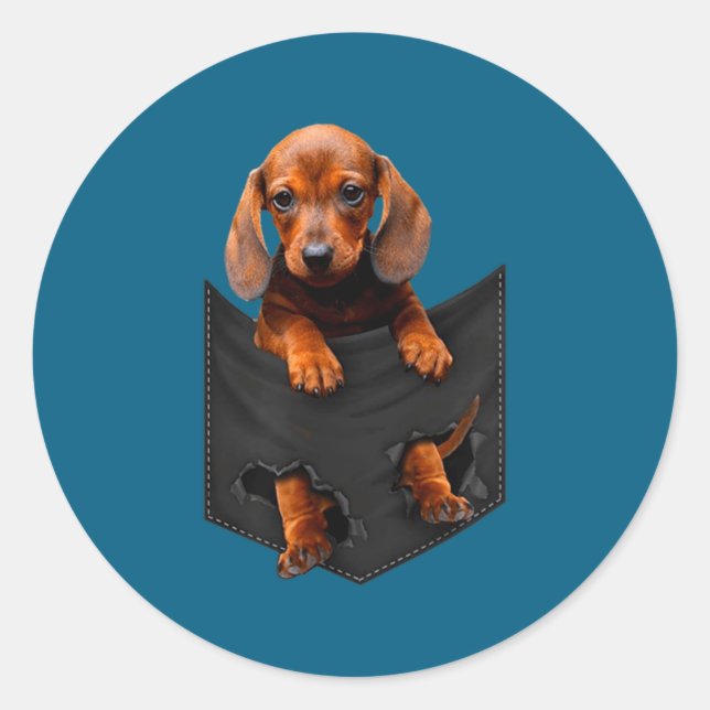 Sticker Rond Dachshund In My Cket  (Devant)