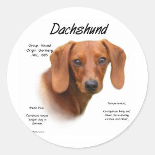 Sticker Rond Dachshund (lisse)