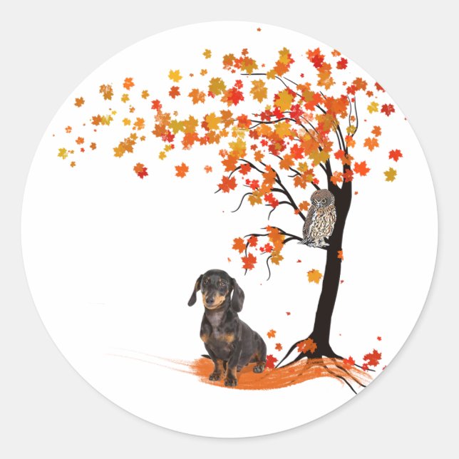 Sticker Rond Dachshund Owl Et Fall Tree Dachshund Lover Automne (Devant)
