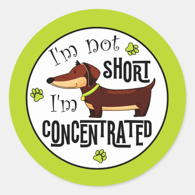 Sticker Rond Dachshund Pas Petit Je Suis Concentré  (Devant)