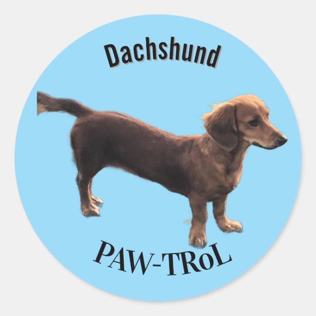 Sticker Rond Dachshund Paw-trol (Devant)