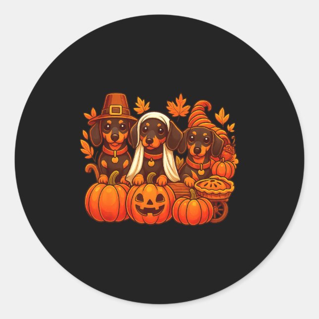 Sticker Rond Dachshund saucisson chien de Thanksgiving Pumpki r (Devant)