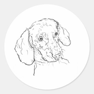Sticker Rond Dachshund, Teckel, Basset Allemand, Chien-saucisse