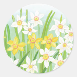Sticker Rond Daffodiques de printemps