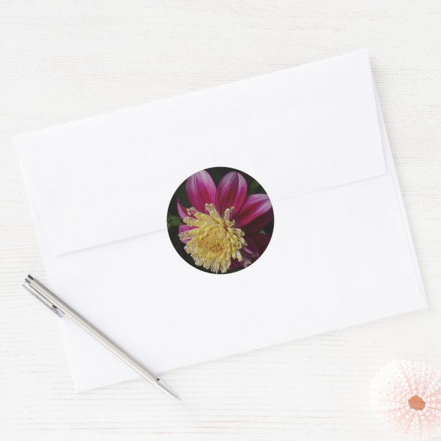 Sticker Rond Dahlia Anémone Rose Floral (Enveloppe)