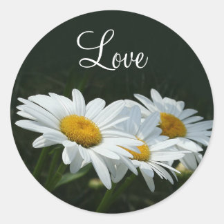 Sticker Rond Daisies Love