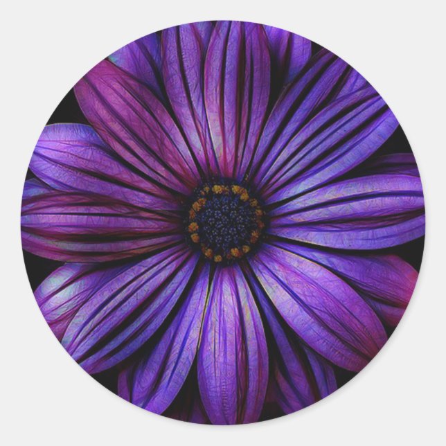 Sticker Rond Daisy (Devant)