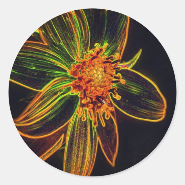 Sticker Rond Daisy Abstrait Flower Art (Devant)