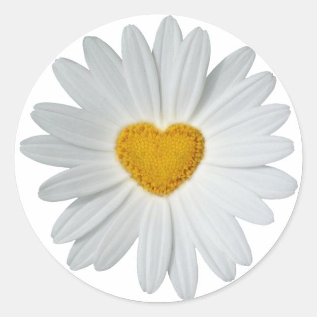 Sticker Rond Daisy Heart (Devant)