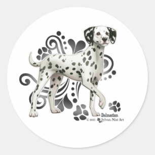 Sticker Rond Dalmatien