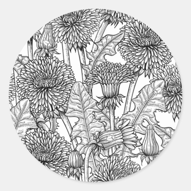 Sticker Rond Dandelions, black and white (Devant)