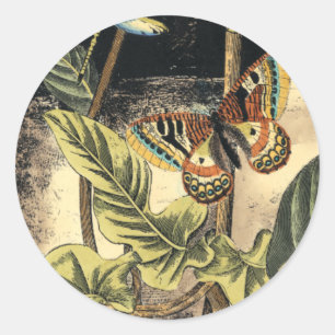 Sticker Rond Dark Nature Scene par Vision Studio