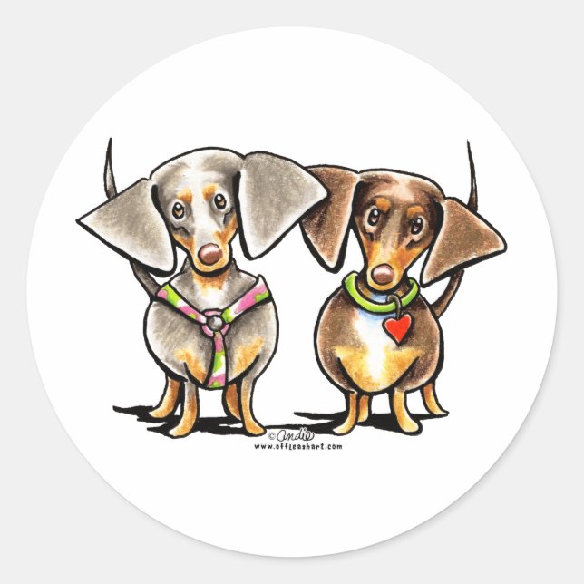 Sticker Rond Dashing Dachshunds Appelés (Devant)