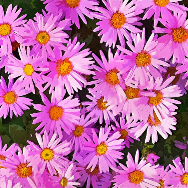 STICKER ROND DATES (A watercolor of pretty pink daisies. )