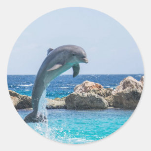 Sticker Rond Dauphin de Bottlenose