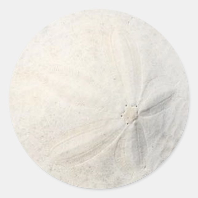 Sticker rond de la fête de plage de sable Dollar (Devant)