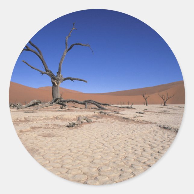 Sticker Rond Dead Vlei, Sossusvlei, Namib-Naugap National (Devant)